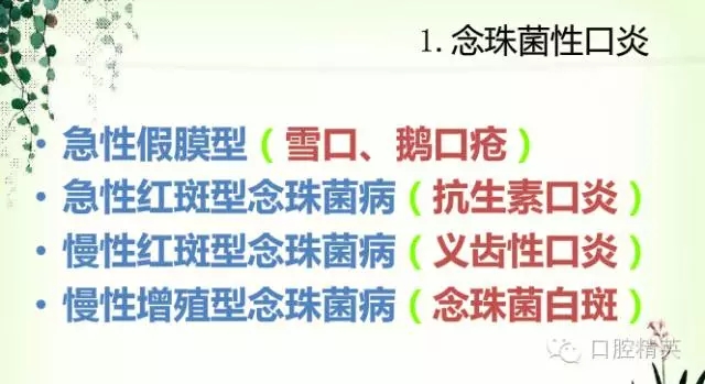 10.webp.jpg 10.webp.jpg