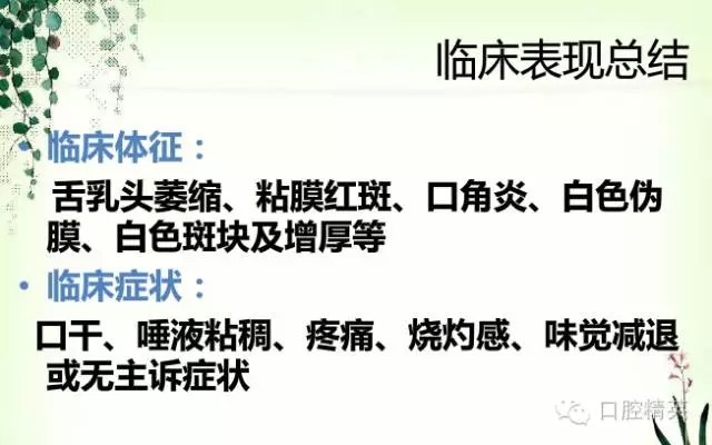 15.webp.jpg 15.webp.jpg