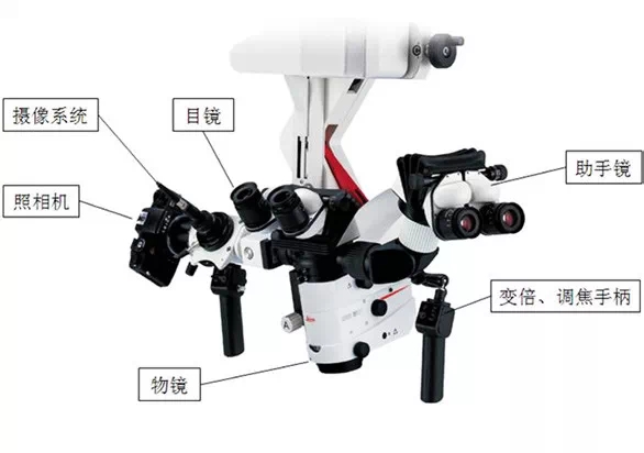 1.webp.jpg 1.webp.jpg