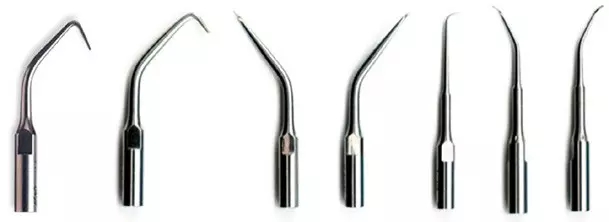 10.webp.jpg 10.webp.jpg