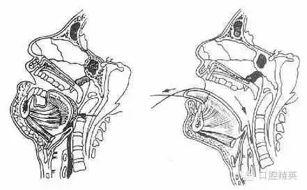 1.webp.jpg 1.webp.jpg