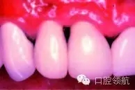 4.webp.jpg 4.webp.jpg