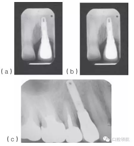 16.webp.jpg 16.webp.jpg