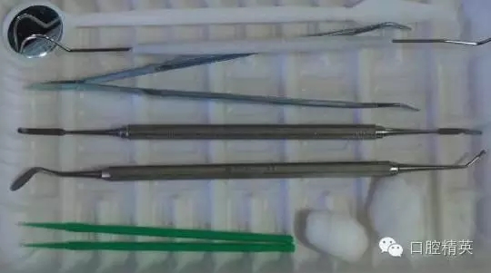 5.webp.jpg 5.webp.jpg