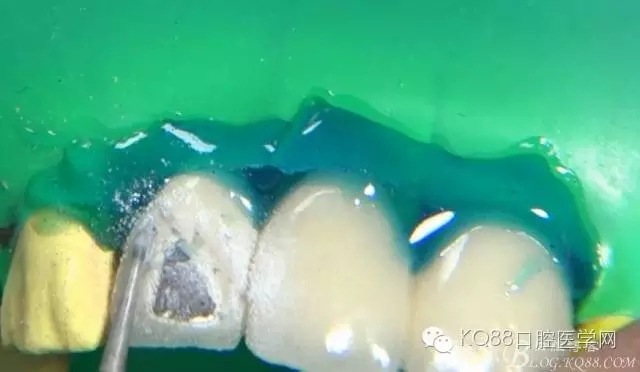 12.webp.jpg 12.webp.jpg