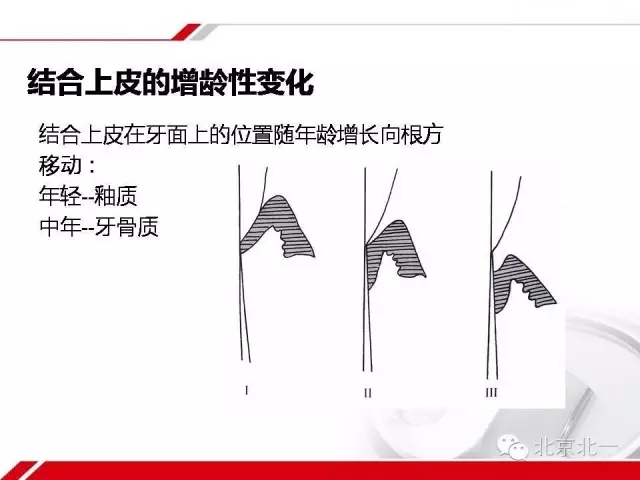 640.webp (7).jpg 640.webp (7).jpg