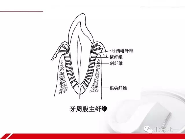 640.webp (11).jpg 640.webp (11).jpg