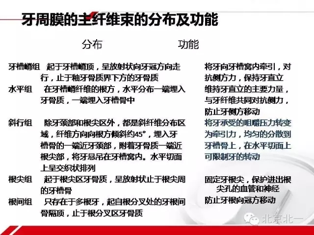 640.webp (12).jpg 640.webp (12).jpg