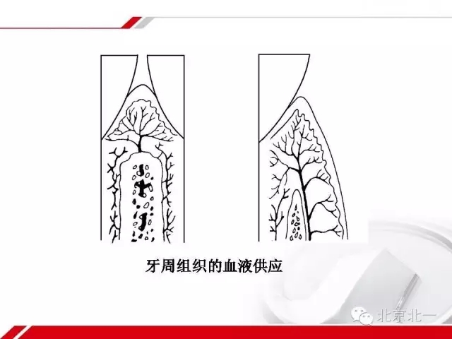 640.webp (19).jpg 640.webp (19).jpg