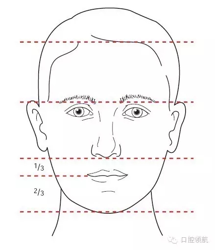 640.webp.jpg 640.webp.jpg