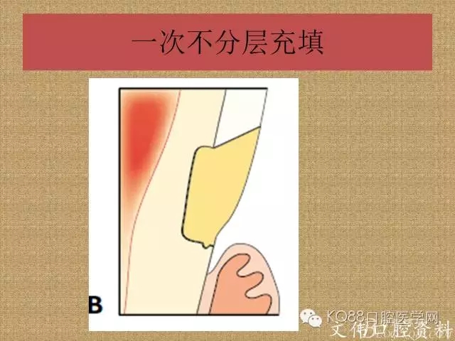 640.webp (12).jpg 640.webp (12).jpg