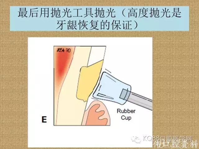 640.webp (19).jpg 640.webp (19).jpg