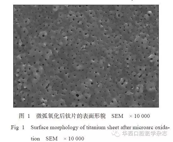 1.webp.jpg 1.webp.jpg