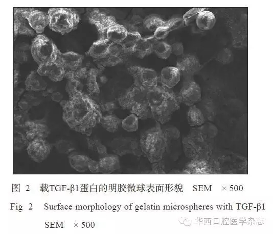 2.webp.jpg 2.webp.jpg