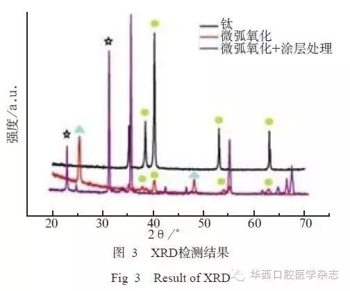 3.webp.jpg 3.webp.jpg