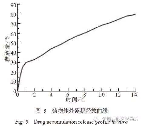 5.webp.jpg 5.webp.jpg
