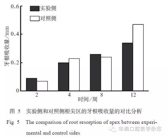 6.webp.jpg 6.webp.jpg