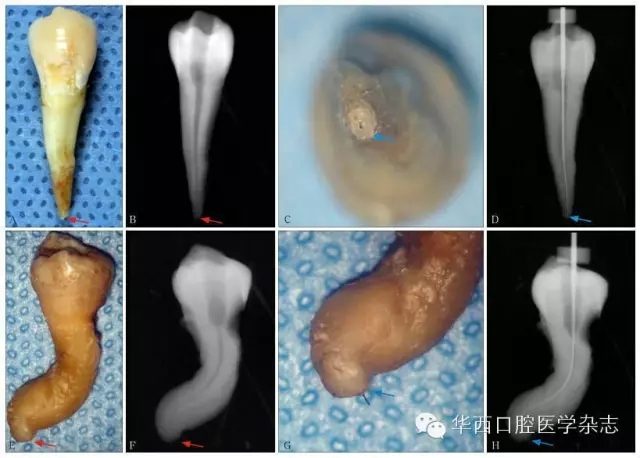 2.webp.jpg 2.webp.jpg