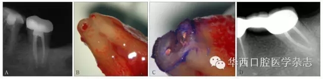 5.webp.jpg 5.webp.jpg