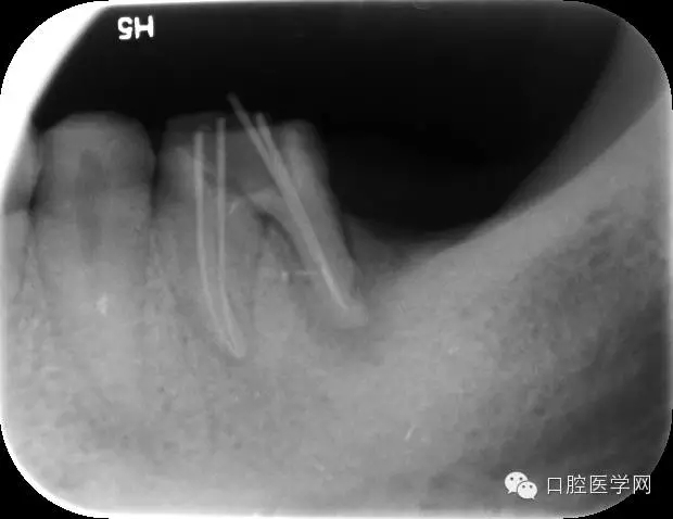 640.webp (3).jpg 640.webp (3).jpg