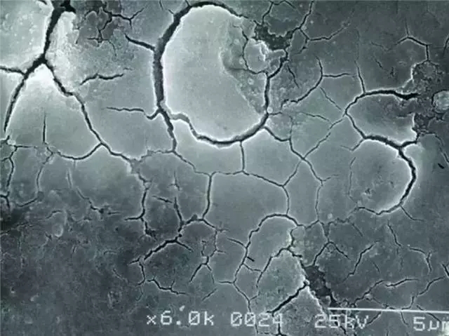 640.webp.jpg 640.webp.jpg