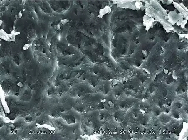 640.webp (1).jpg 640.webp (1).jpg