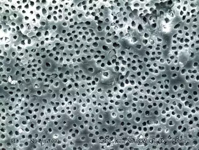 640.webp (2).jpg 640.webp (2).jpg