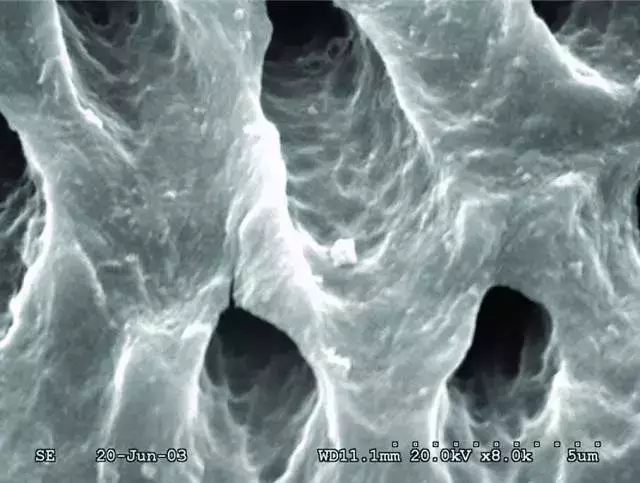 640.webp (3).jpg 640.webp (3).jpg