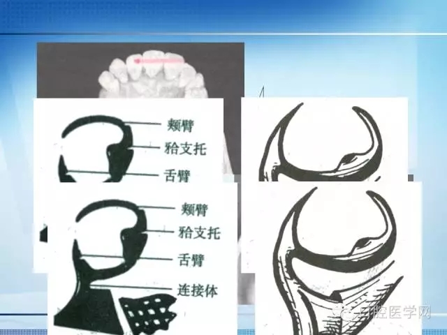 640.webp (11).jpg 640.webp (11).jpg