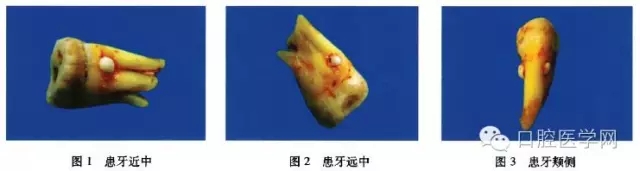 640.webp.jpg 640.webp.jpg