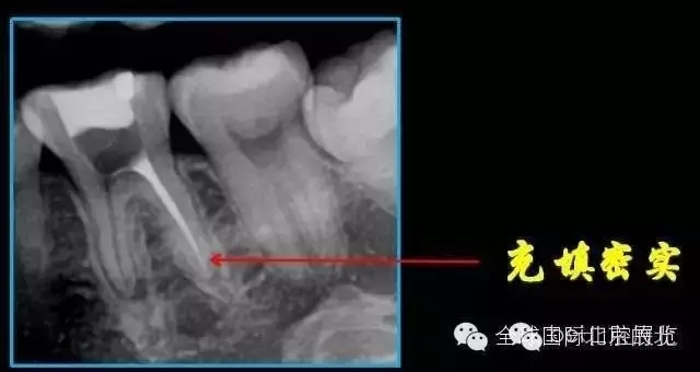 640.webp (6).jpg 640.webp (6).jpg