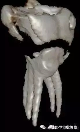 640.webp (17).jpg 640.webp (17).jpg