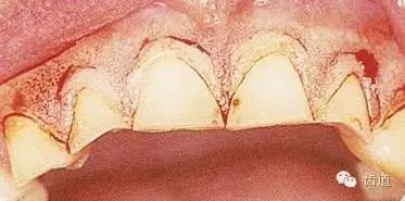 640.webp (14).jpg 640.webp (14).jpg