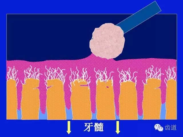 640 (5).webp (6).jpg 640 (5).webp (6).jpg