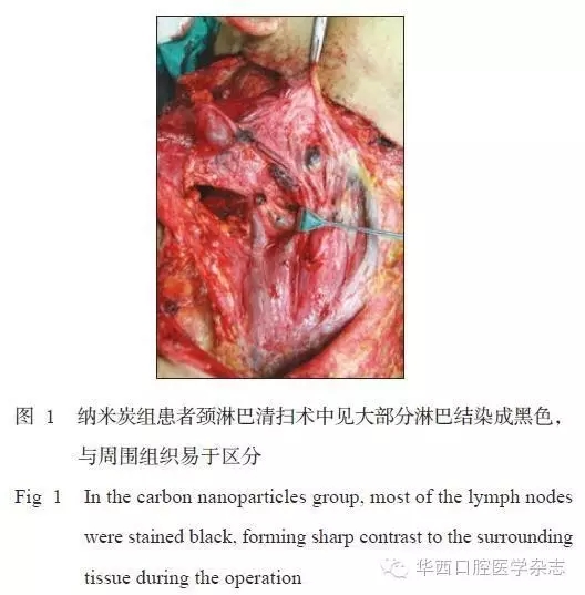 640.webp.jpg 640.webp.jpg