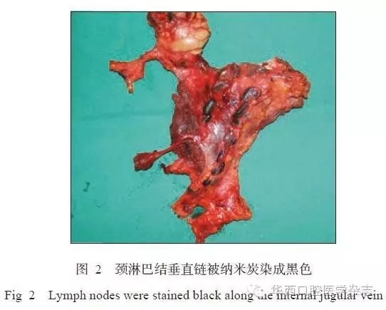 640.webp (1).jpg 640.webp (1).jpg