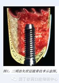 640.webp.jpg 640.webp.jpg