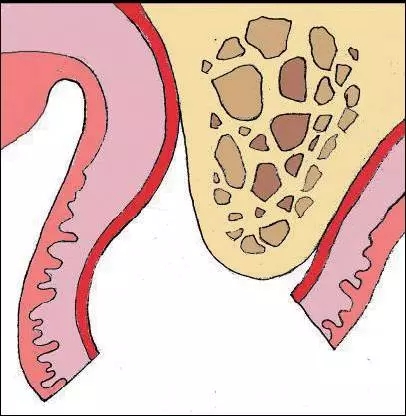 640.webp (1).jpg 640.webp (1).jpg