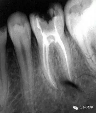 640.webp (4).jpg 640.webp (4).jpg