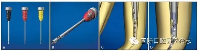 640.webp (12).jpg 640.webp (12).jpg