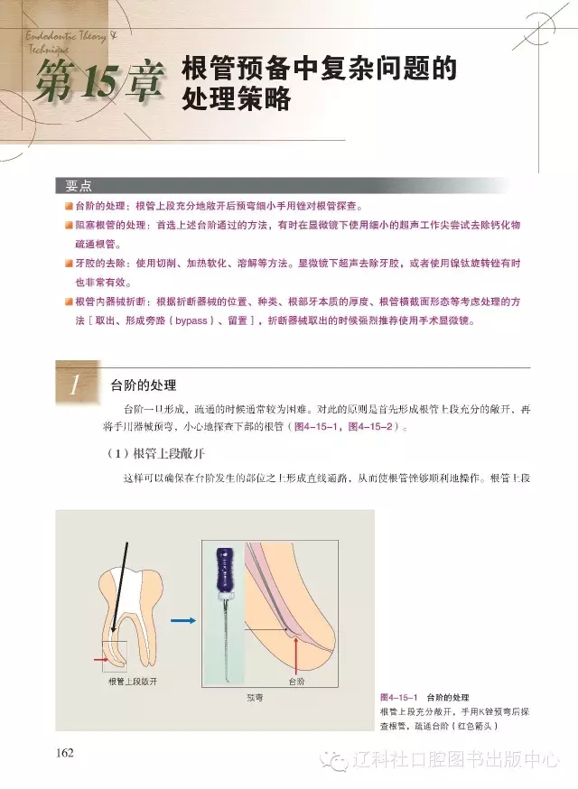 640.webp.jpg 640.webp.jpg