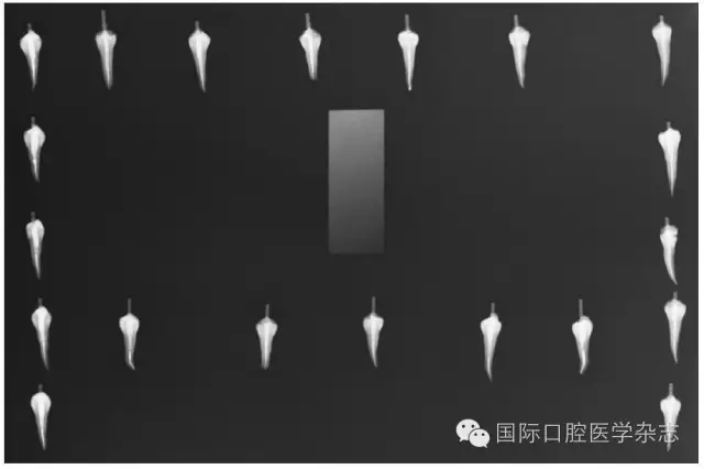 640.webp.jpg 640.webp.jpg