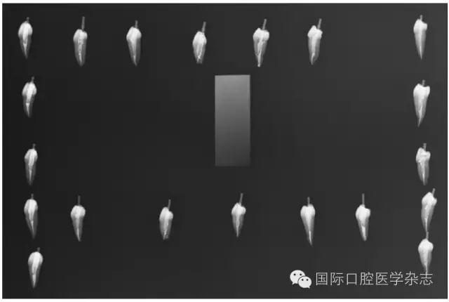 640.webp (1).jpg 640.webp (1).jpg