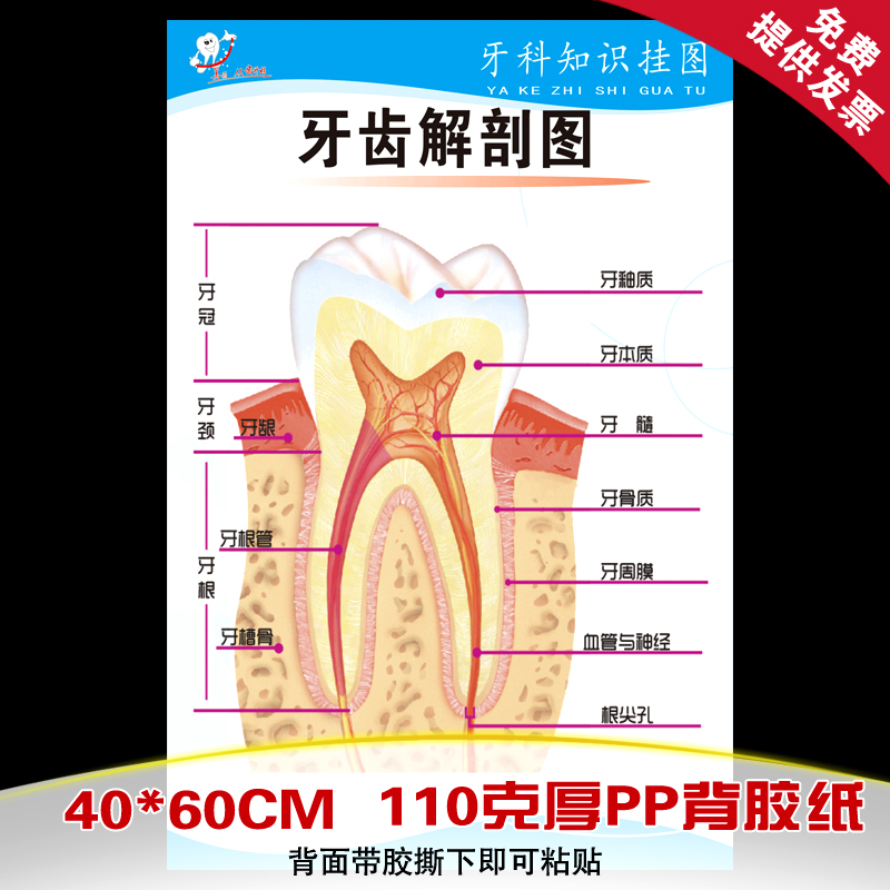 TB1rHI2FFXXXXbpXVXXXXXXXXXX_!!0-item_pic.jpg TB1rHI2FFXXXXbpXVXXXXXXXXXX_!!0-item_pic.jpg