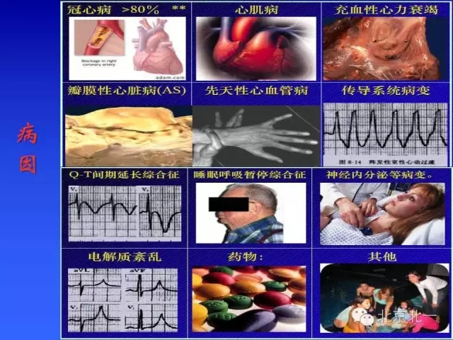 640.webp (16).jpg 640.webp (16).jpg