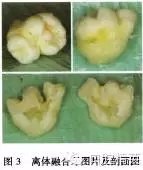 640.webp (1).jpg 640.webp (1).jpg