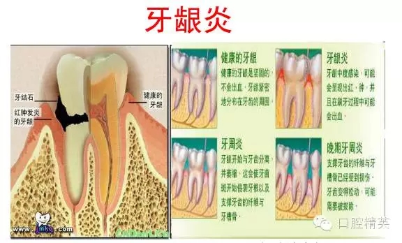 640.webp (20).jpg 640.webp (20).jpg