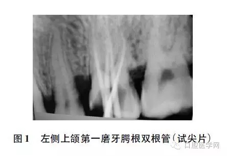 640.webp.jpg 640.webp.jpg