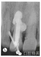 640.webp (1).jpg 640.webp (1).jpg