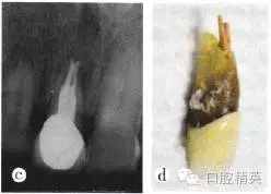 640.webp (2).jpg 640.webp (2).jpg